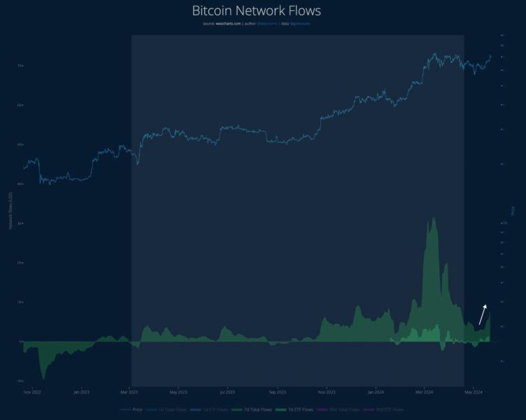 Bitcoin Network Flows