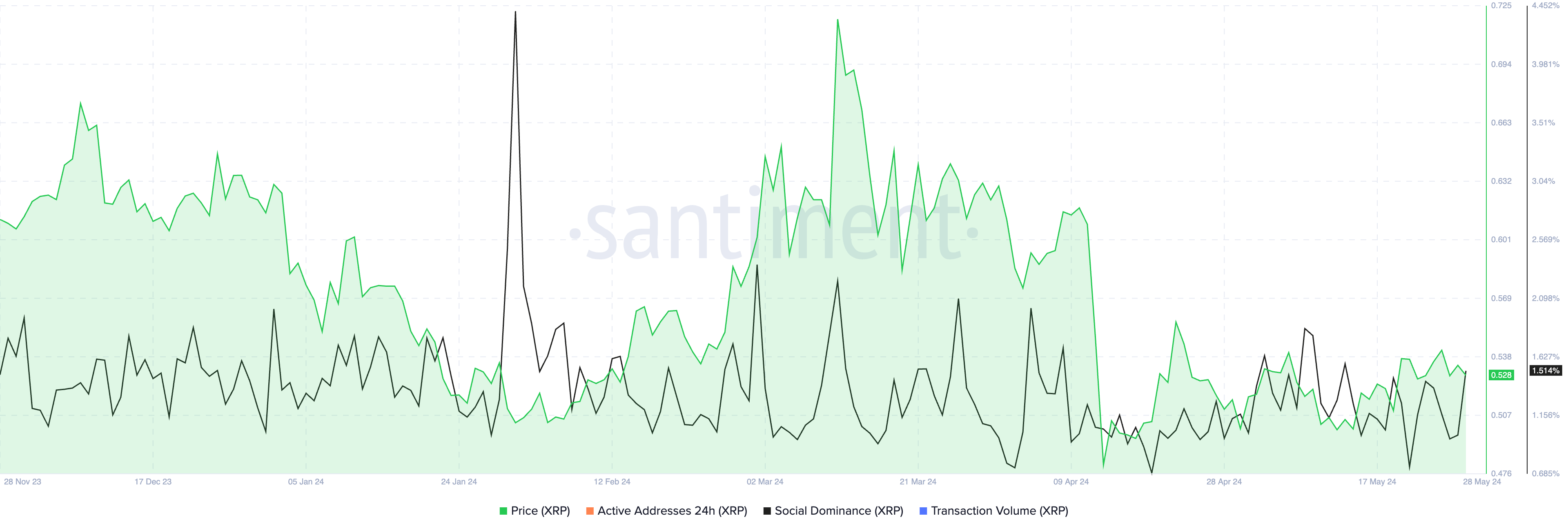 XRP social dominance