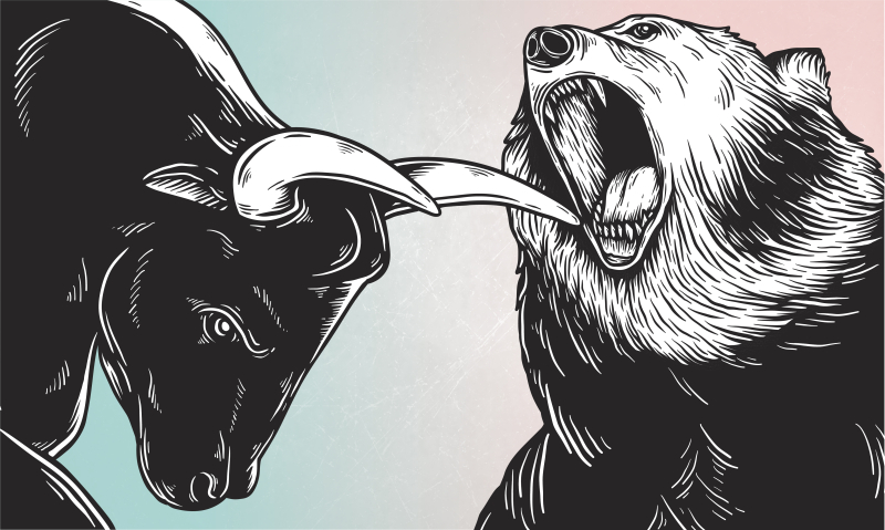 Next crypto bull run