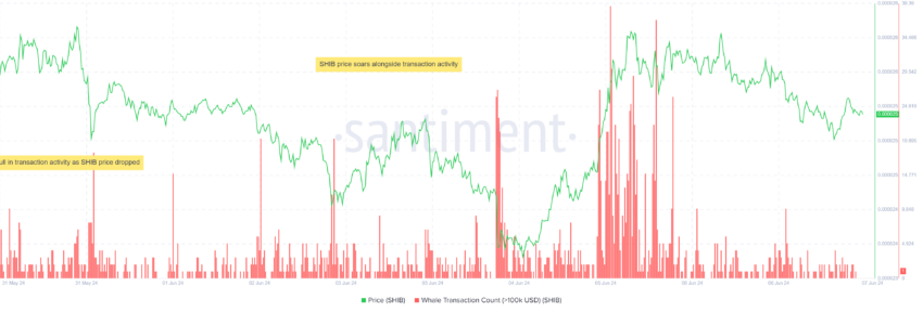 SHIB data on the chain