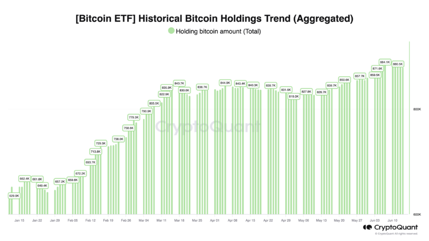 Holdings in Bitcoin ETFs