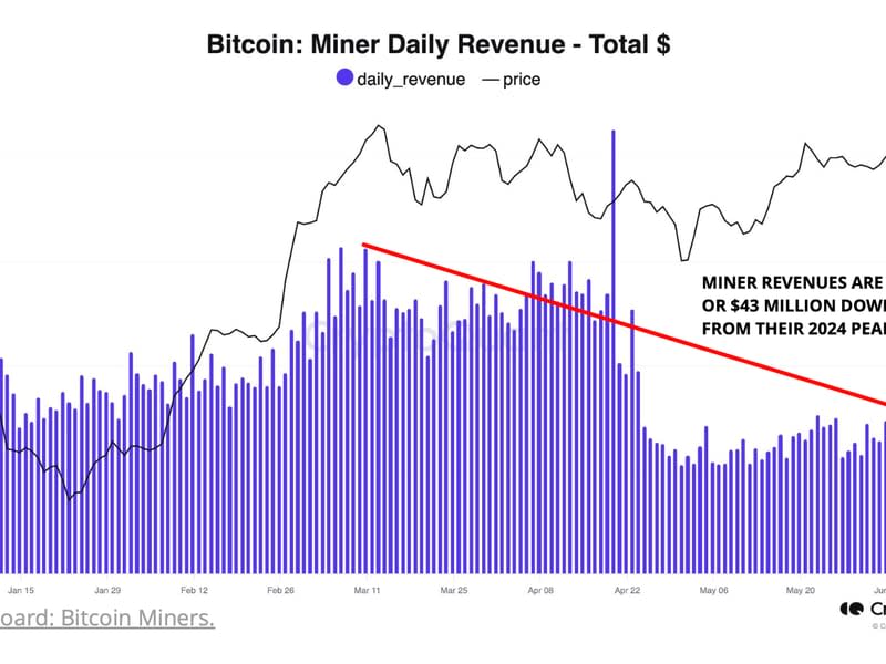 Miner Daily Revenue (CryptoQuant)