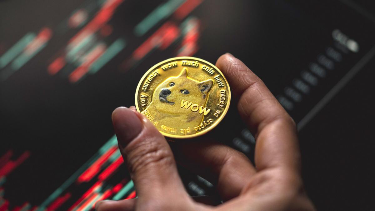 If you own Elon Musk's favorite cryptocurrency, Dogecoin, how much will it be worth in 5 years?