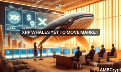 XRP Whales Add $55 Million, But Price Drops Again: What's Happening?