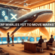 XRP Whales Add $55 Million, But Price Drops Again: What's Happening?