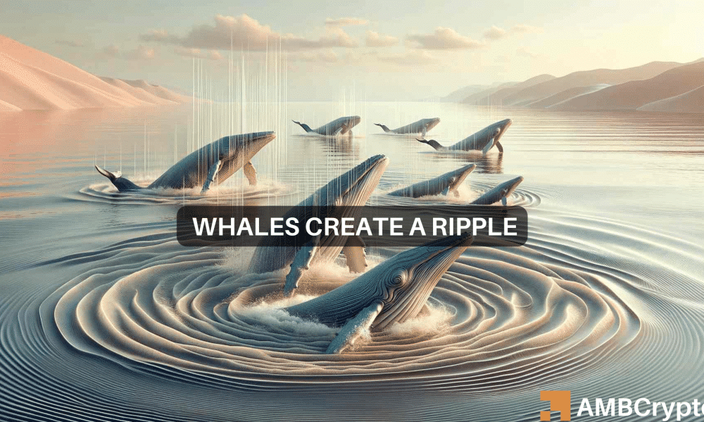 XRP Whales Acquire Over 300 Million Tokens as Altcoin Joins Rally – What Do They Know?