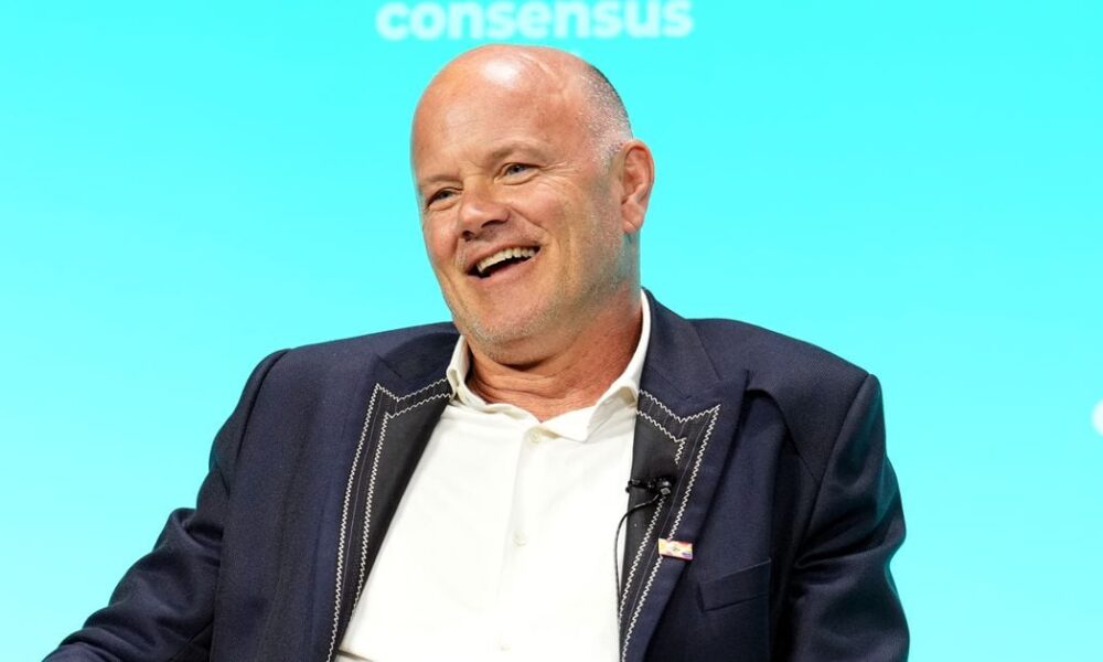 Meet Mike Novogratz, the political commentator