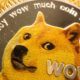 The Japanese dog that inspired the Doge meme and the Dogecoin cryptocurrency has died, his owner reveals