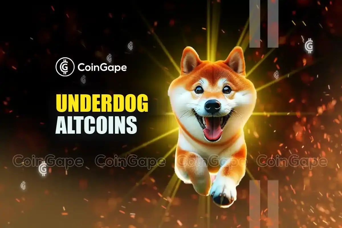 3 Underdog Altcoins That Will Turn $100 Into $100,000 By December