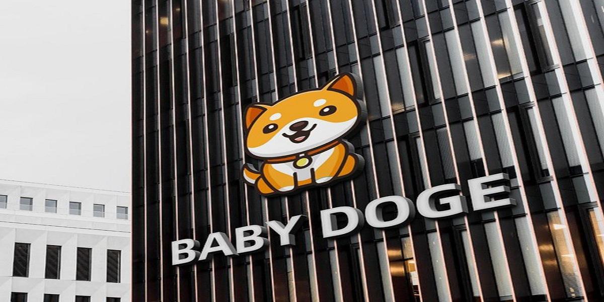 Baby Doge Token Contract Proposal on Ethereum and BNB Chain Pass, Here’s All