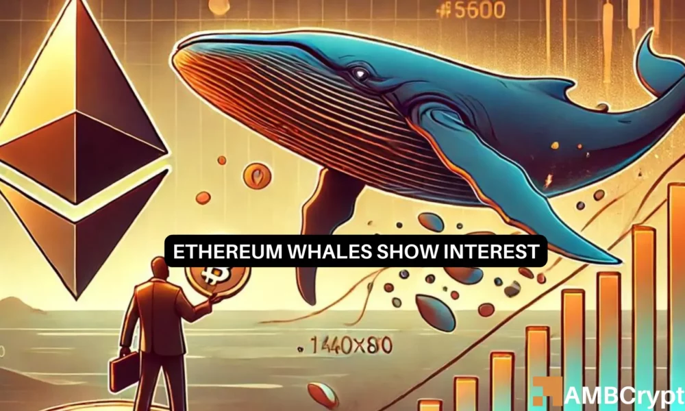 Ethereum Whales Are on the Move: What Does This Mean for the Future of ETH?