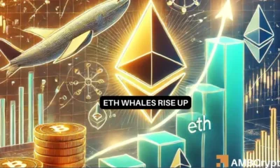 Will Ethereum Price Rise as Whale Interest Increases?