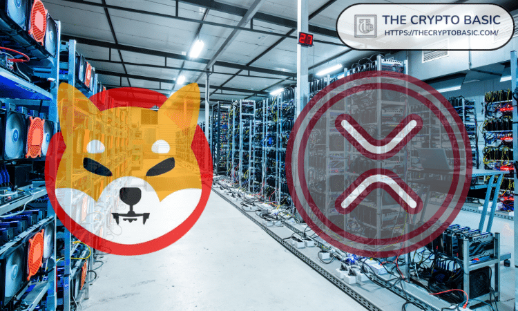 Will Shiba Inu and XRP will benefit as this $1.6 trillion asset manager prepares to invest in Altcoins