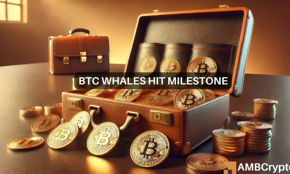 2-Year High for Bitcoin Whales - What Does This Mean for You?