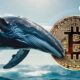 $8 Million Bitcoin Silent Whale Wakes Up and Does This