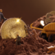 Miners' 'Capitulation' Signals Bitcoin Price May Have Bottomed Out: CryptoQuant