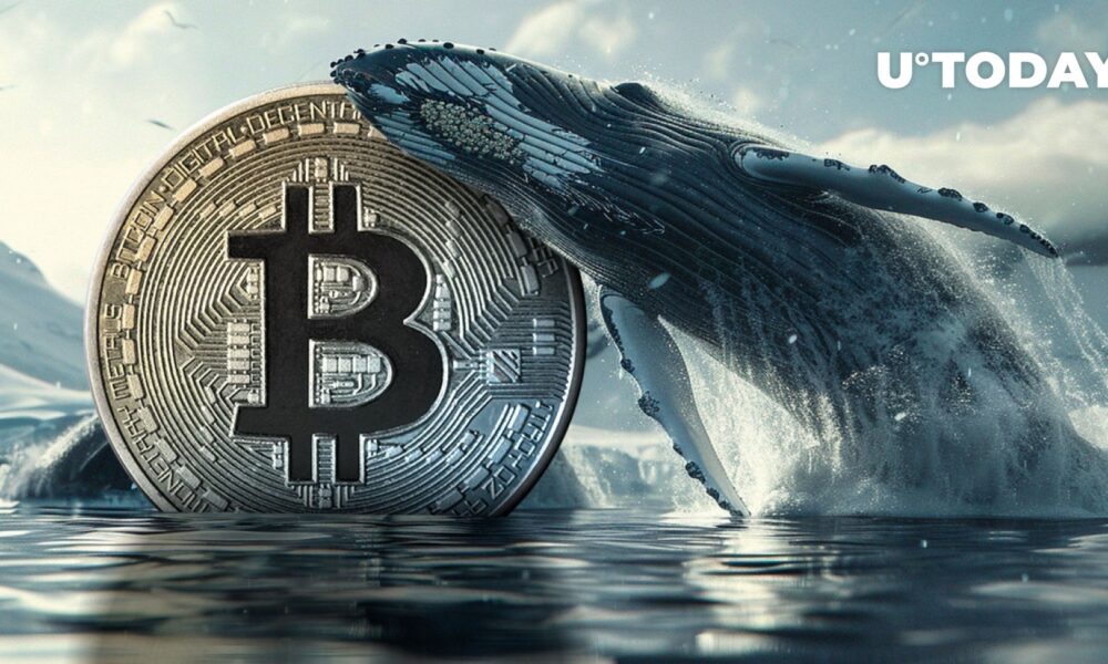 Satoshi-era Bitcoin whale suddenly wakes up with 400,179% profit